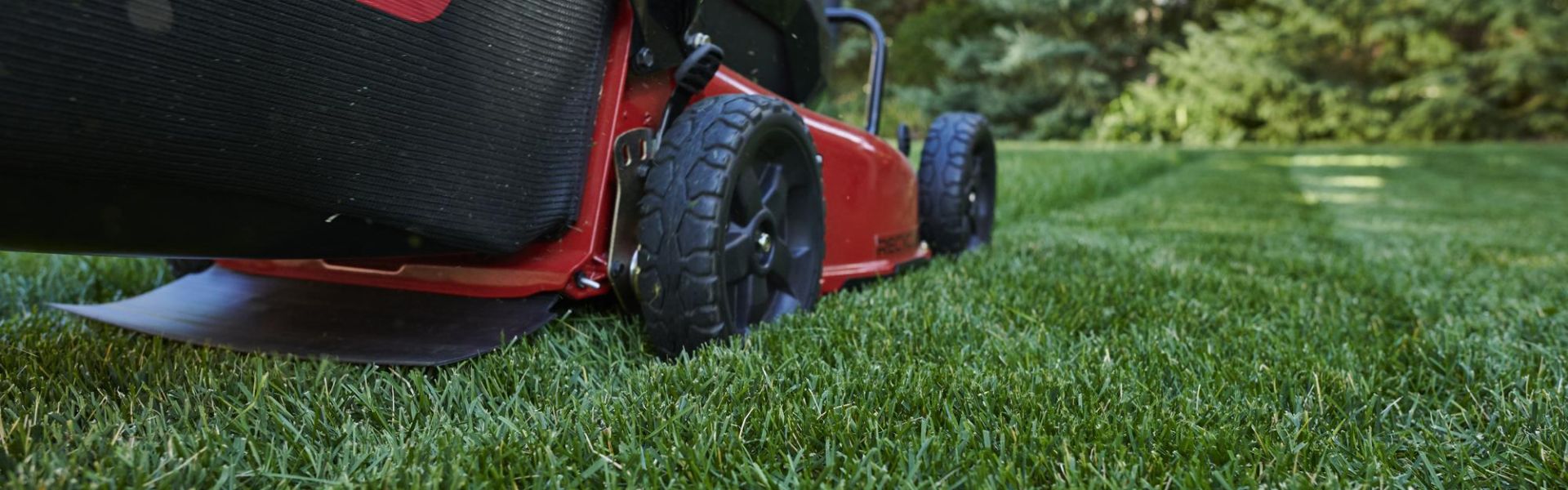TORO Grasmaaier | Megens Oirschot